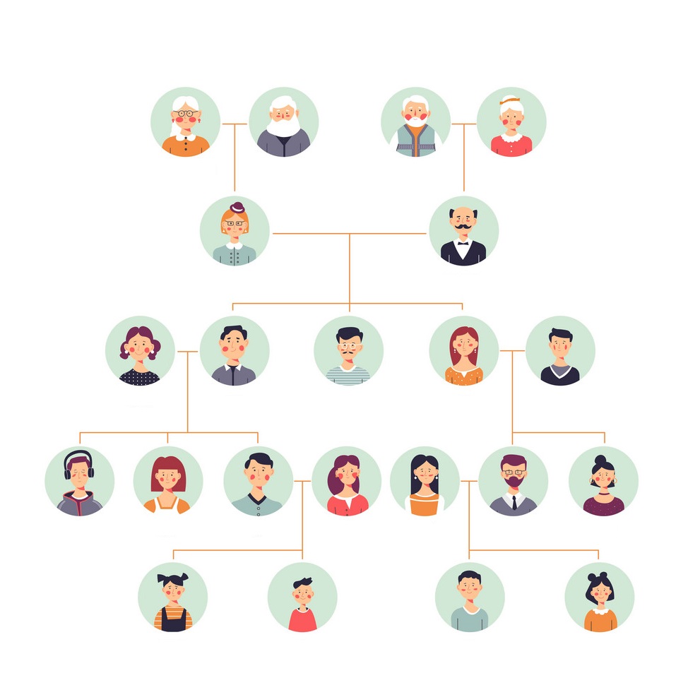 Órgãos Sociais Image